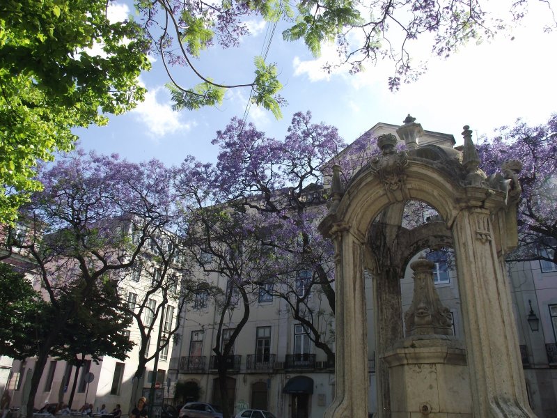 Lisbon_007