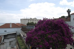 Lisbon_042