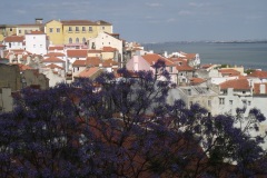 Lisbon_051